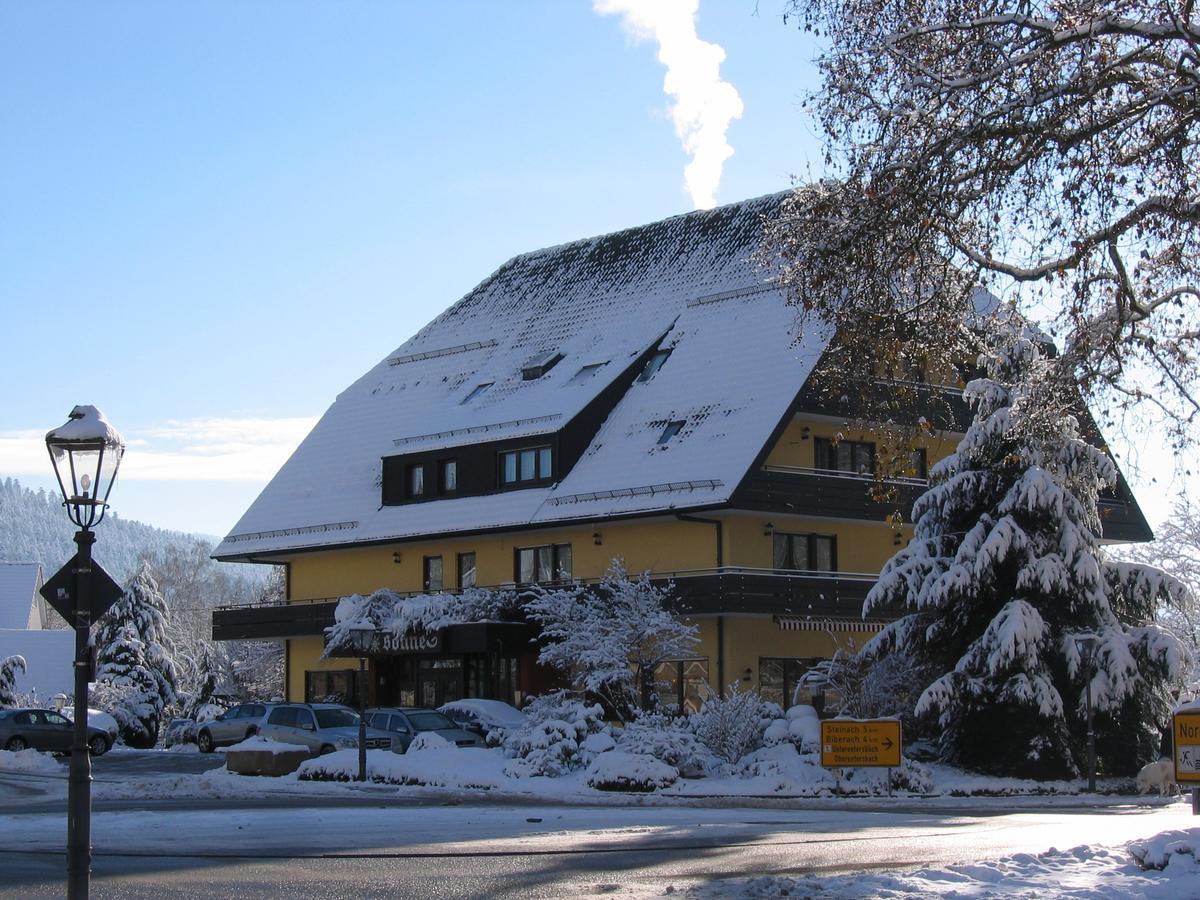 Hotel Sonne Цел ам Хармерсбах Екстериор снимка